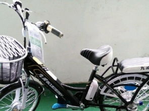 图 锂电电动自行车厂家批发价交警会查 深圳自行车 电动车