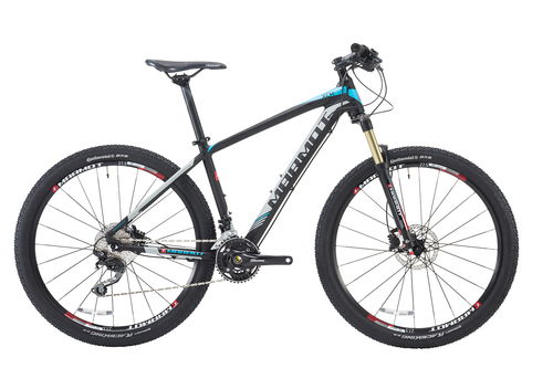 中国自行车品牌与骑行文化探析 土拨鼠的排名意义与现代骑行需求