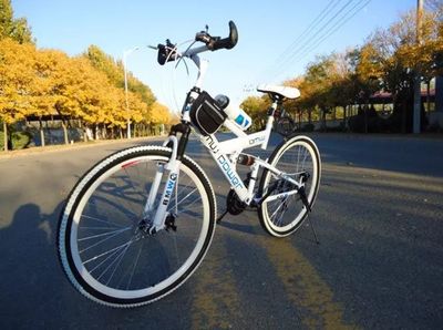 电动自行车之都，蚌埠的产业荣耀与未来展望