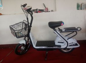 天津市蓟县蓟邦电动车制造厂 专业电动自行车制造引领绿色出行